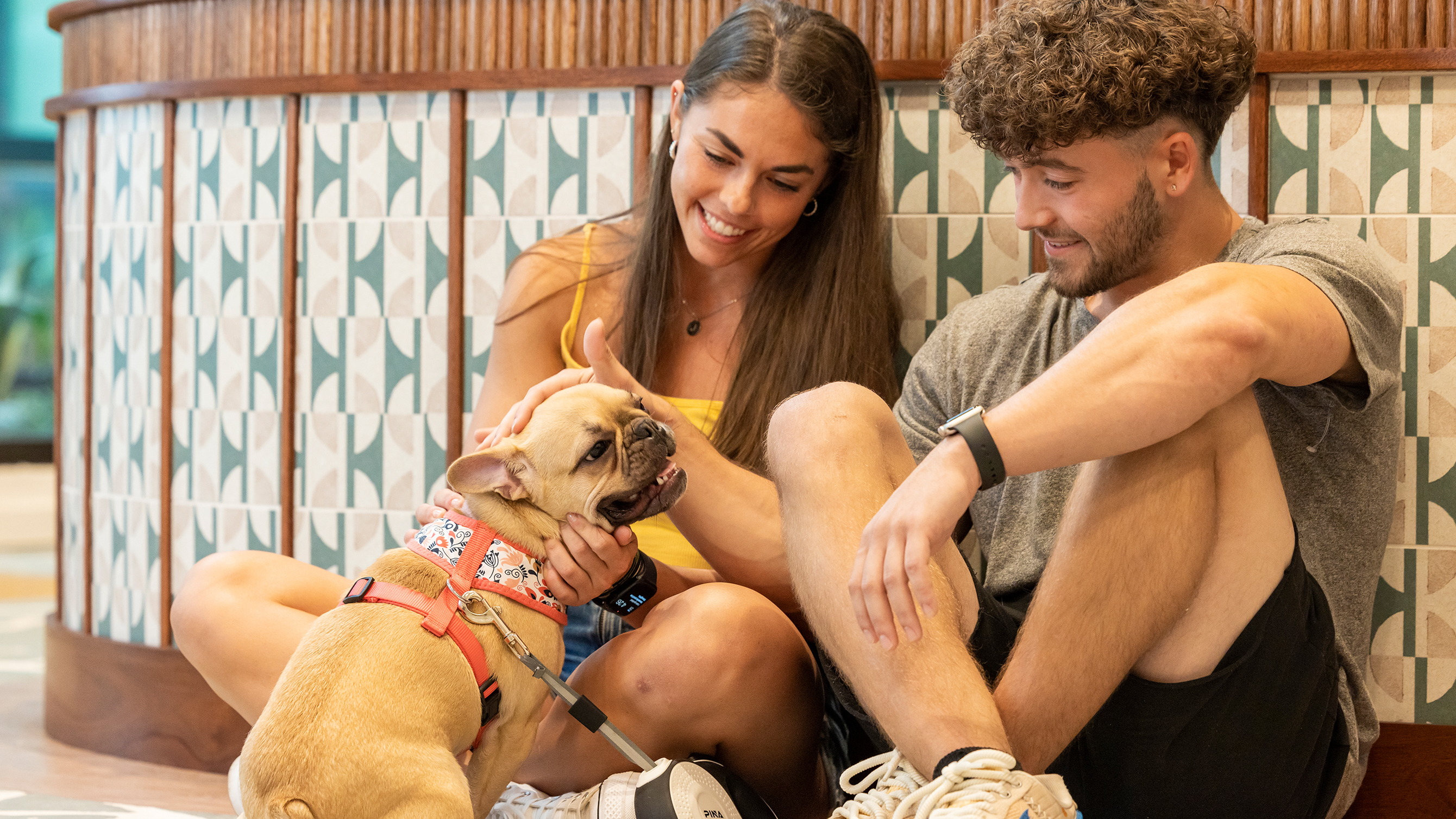 Two people petting a dog